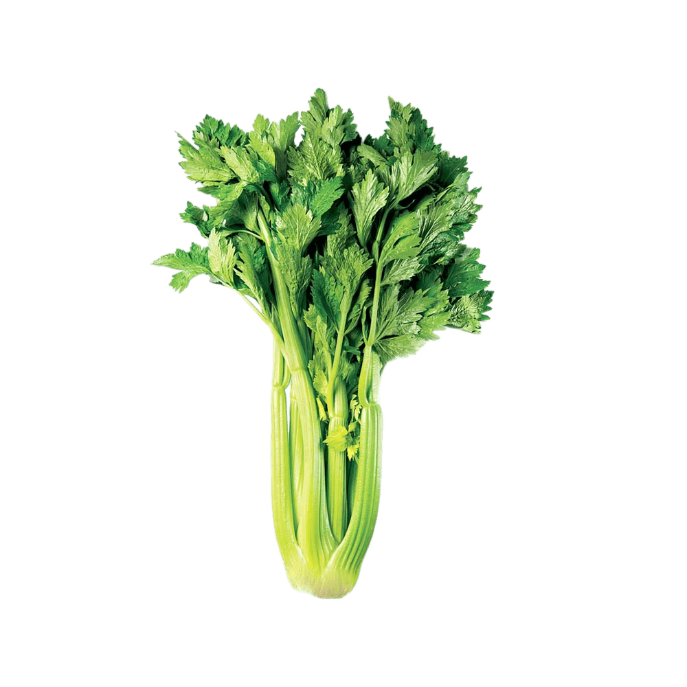 cong-can-tay